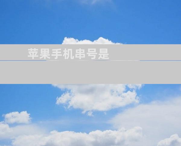 苹果手机串号是