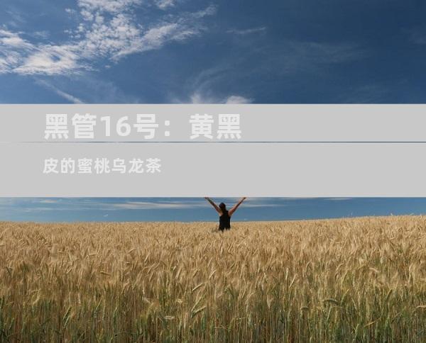 黑管16号：黄黑皮的蜜桃乌龙茶